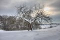 Winter 28.12.2010_14